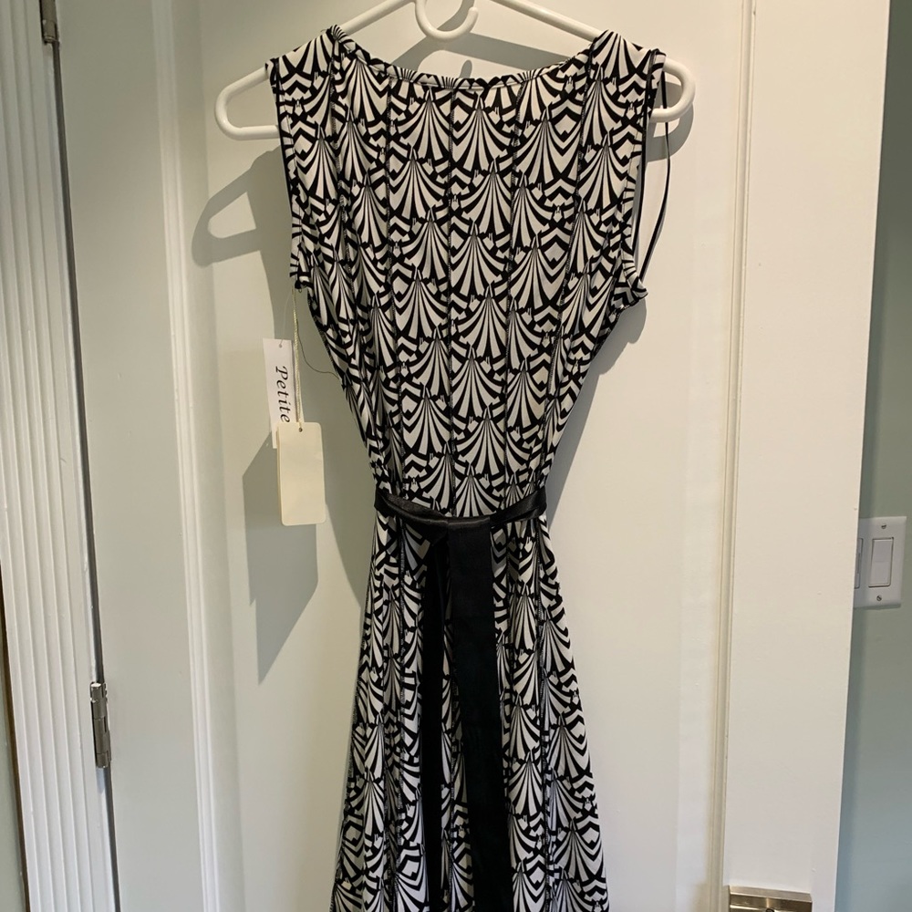 Never worn, tags on, Haani New York dress. Petite small